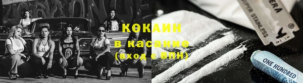дурь Арсеньев