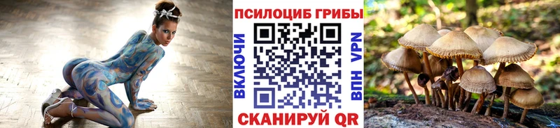 Псилоцибиновые грибы Magic Shrooms  Пугачёв 