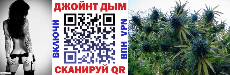 блэк спрут зеркало Пугачёв Каннабис конопля